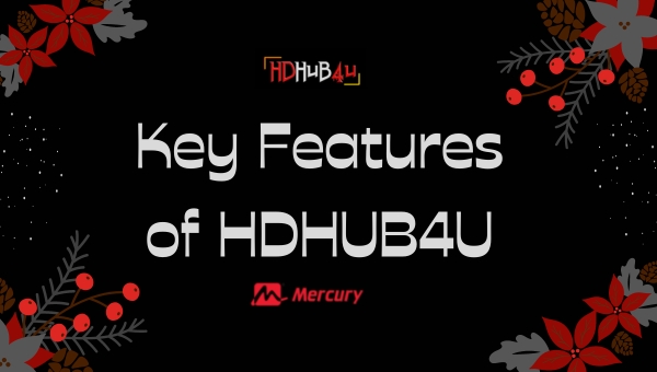 Key Features of HDHUB4U