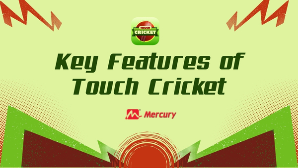 Key Features of Touch Cricket