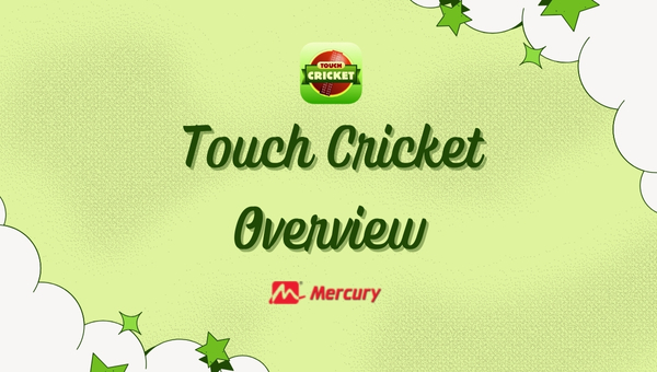 Touch Cricket - Overview