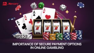 Importance of Secure Payment Options in Online Gambling