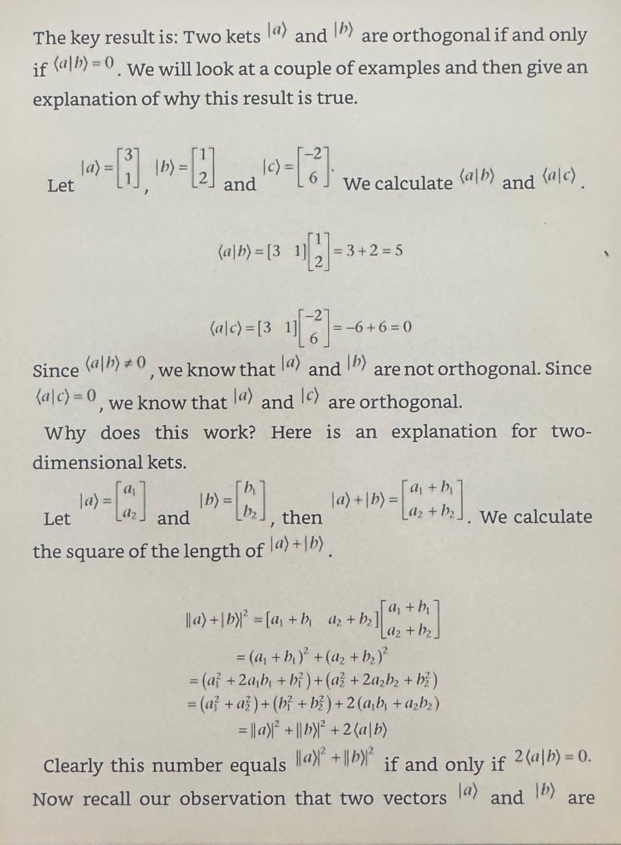 Quantum Computing for Everyone (Mit Press) - Customer Photo 1