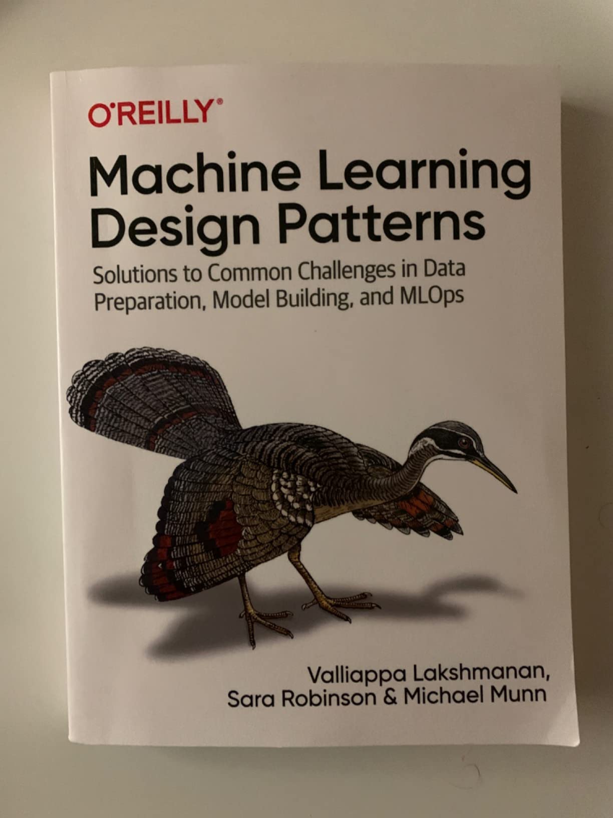 Machine Learning Design Patterns: Solutions to Common Challenges in Data Preparation, Model Building, and MLOps - Customer Photo 1
