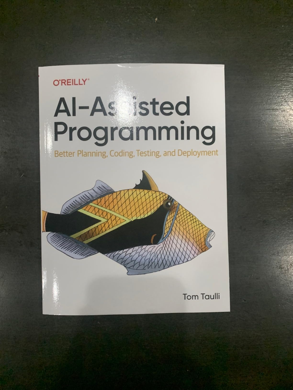 AI-Assisted Programming: Better Planning, Coding, Testing, and Deployment - Customer Photo 1