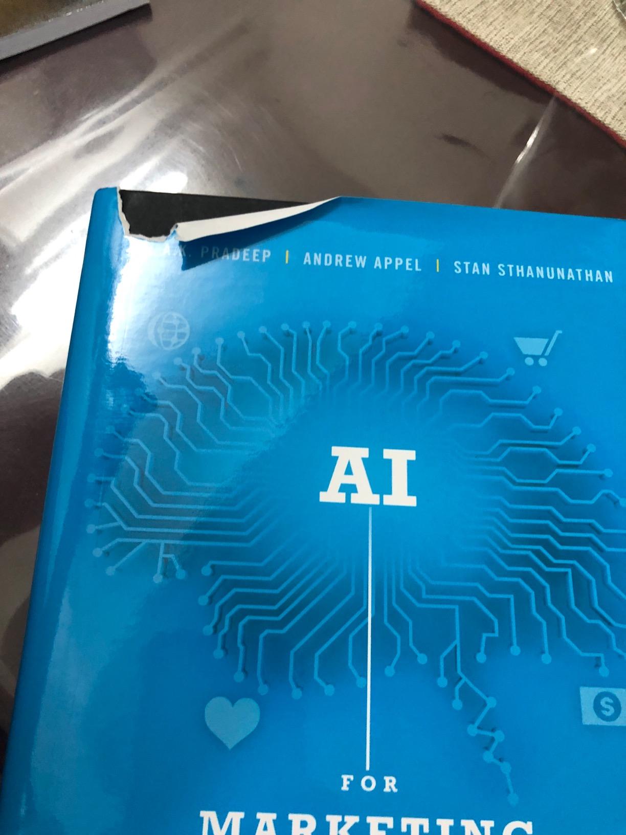 AI for Marketing and Product Innovation: Powerful New Tools for Predicting Trends, Connecting with Customers, and Closing Sales - Customer Photo 1