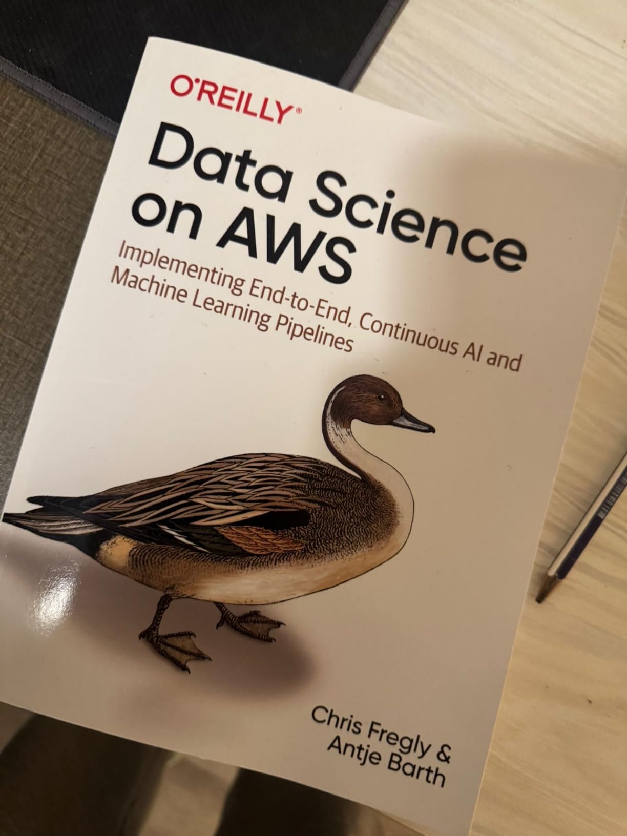 Data Science on AWS: Implementing End-to-End, Continuous AI and Machine Learning Pipelines - Customer Photo 1