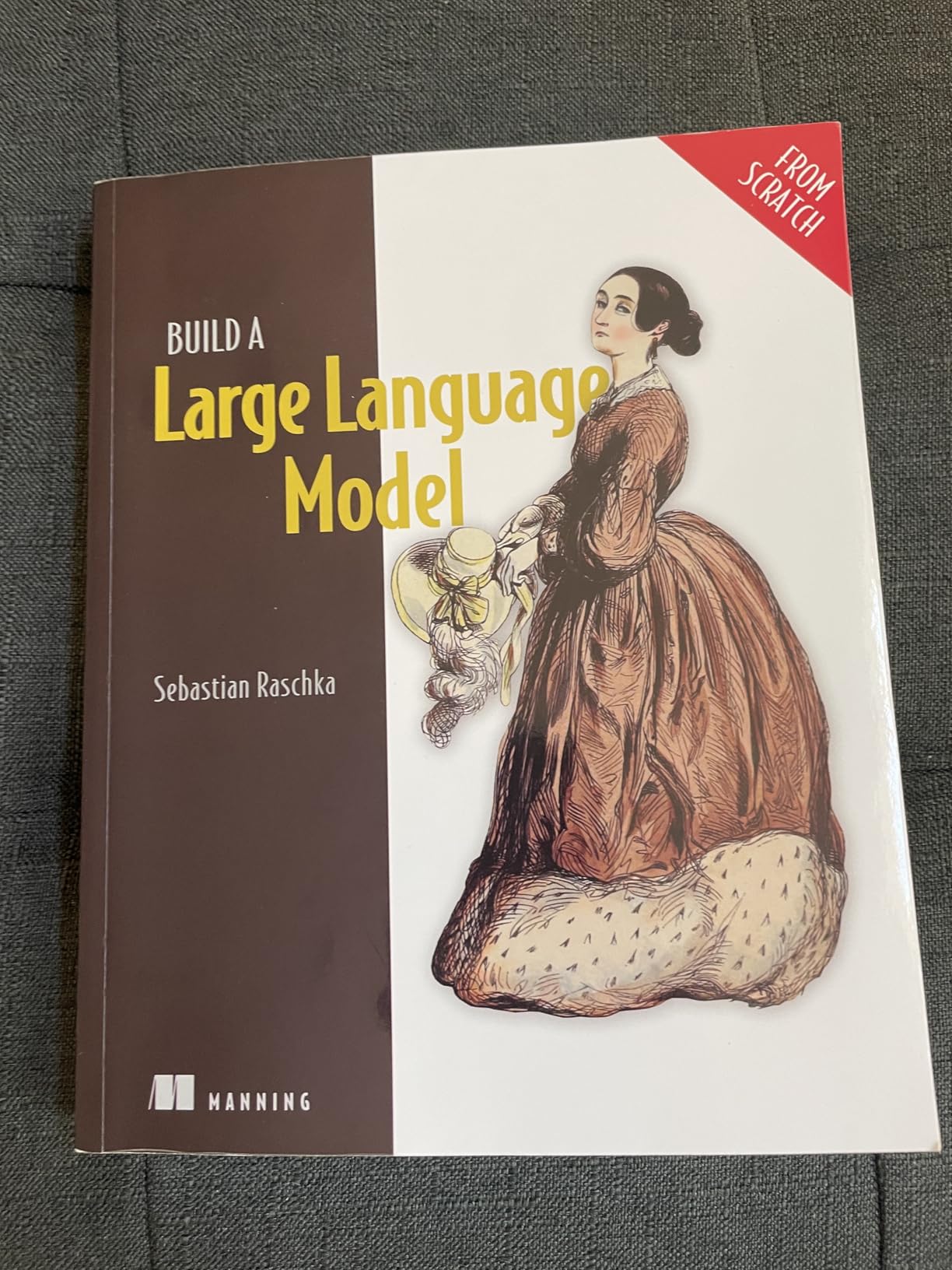 Build a Large Language Model (From Scratch) - Customer Photo 1