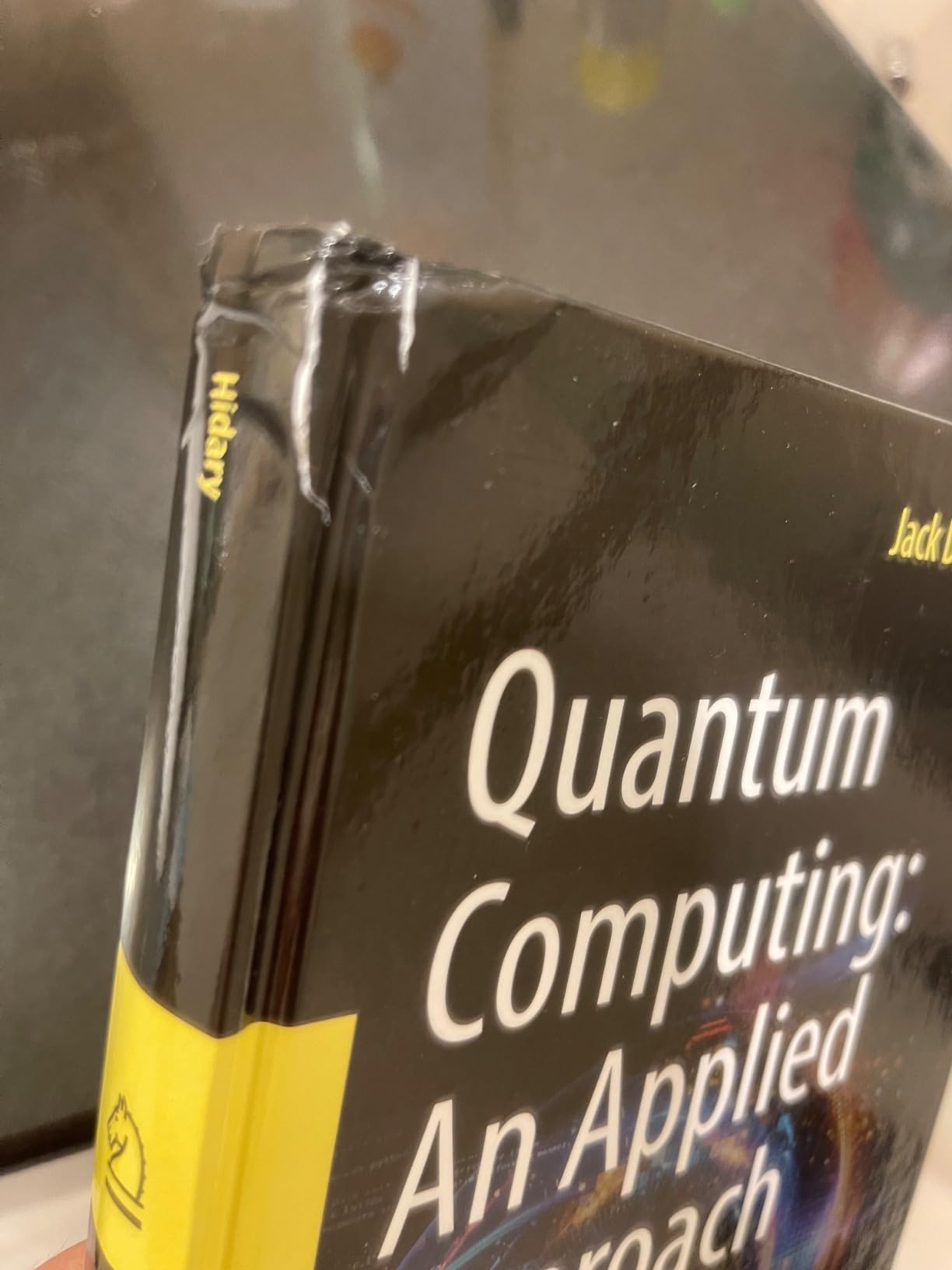Quantum Computing: An Applied Approach - Customer Photo 2