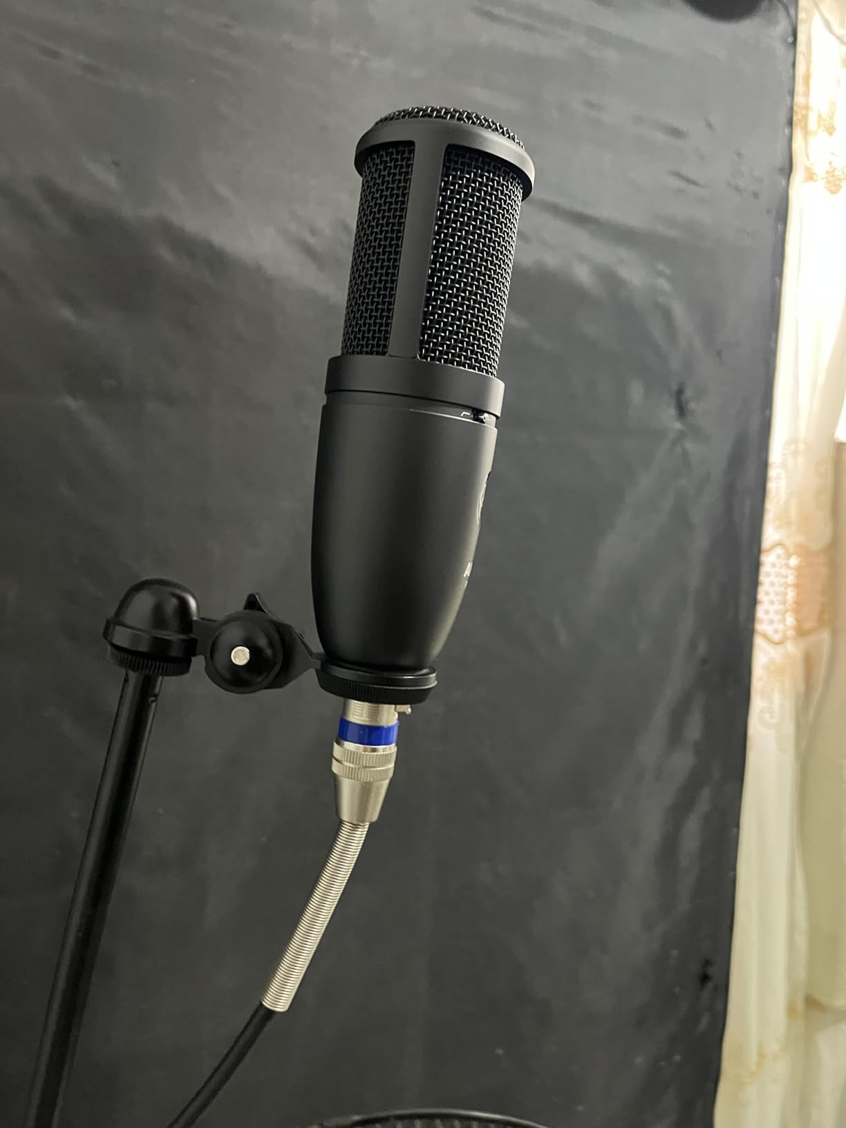 AKG Pro Audio P120 - Affordable 2/3-Inch Diaphragm Condenser Microphone for Clear Vocals & Instruments. Studio Recording or Live. XLR Connector. Black - Customer Photo 1