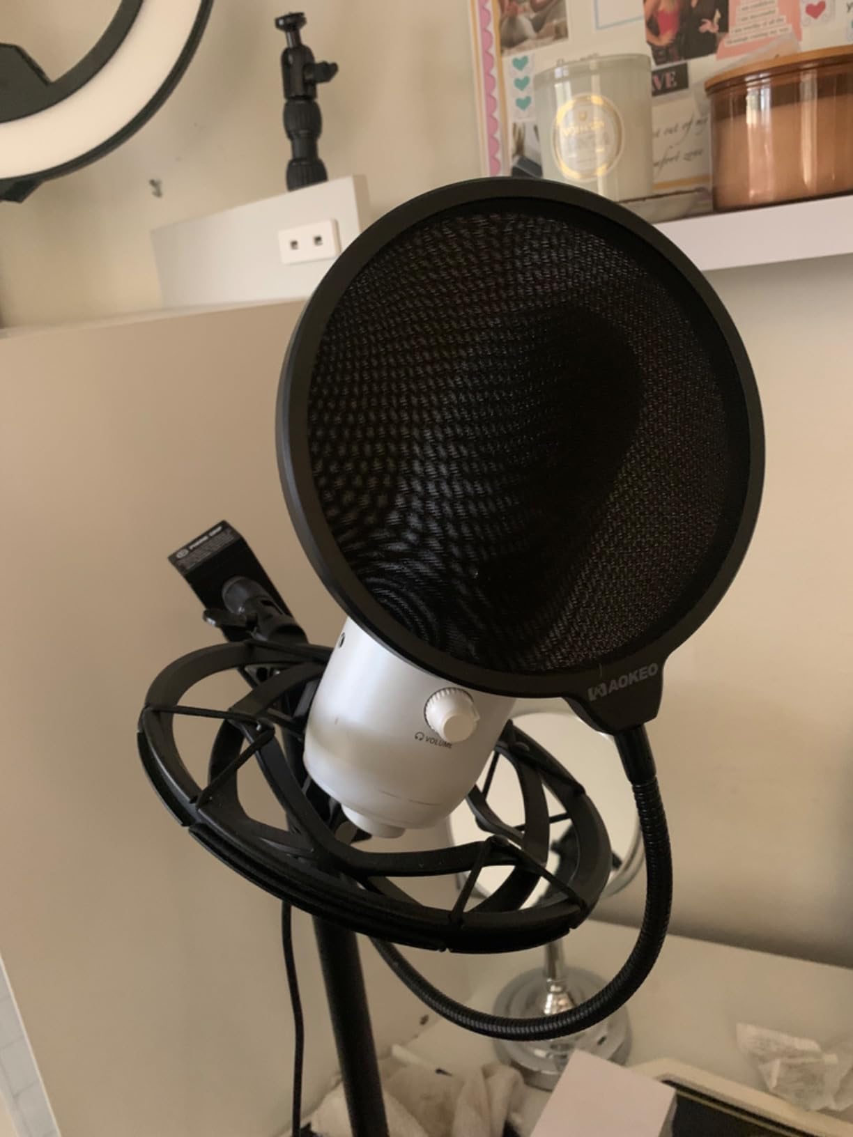 Aokeo Professional Microphone Pop Filter Mask Shield For Blue Yeti and Any Other Microphone,Mic Dual Layered Wind Pop Screen With Flexible 360° Gooseneck Clip Stabilizing Arm - Customer Photo 2