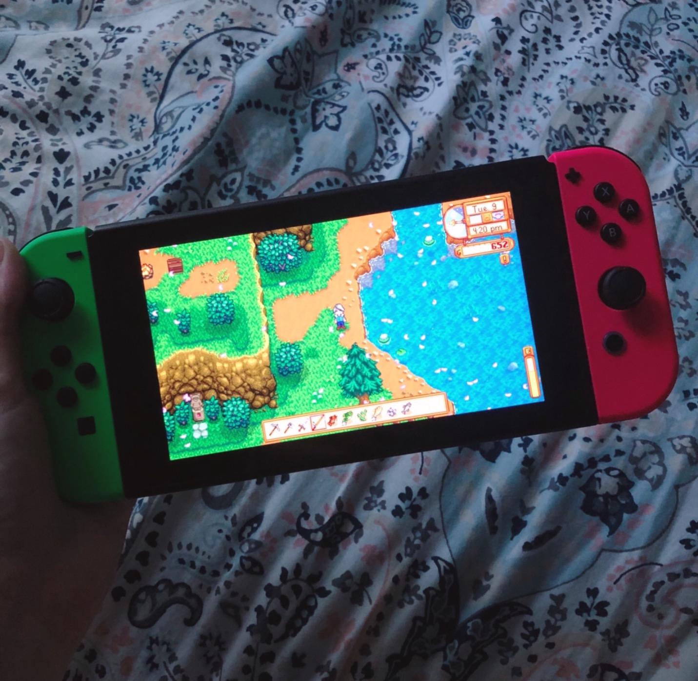 Stardew Valley - Nintendo Switch [Digital Code] - Customer Photo 1
