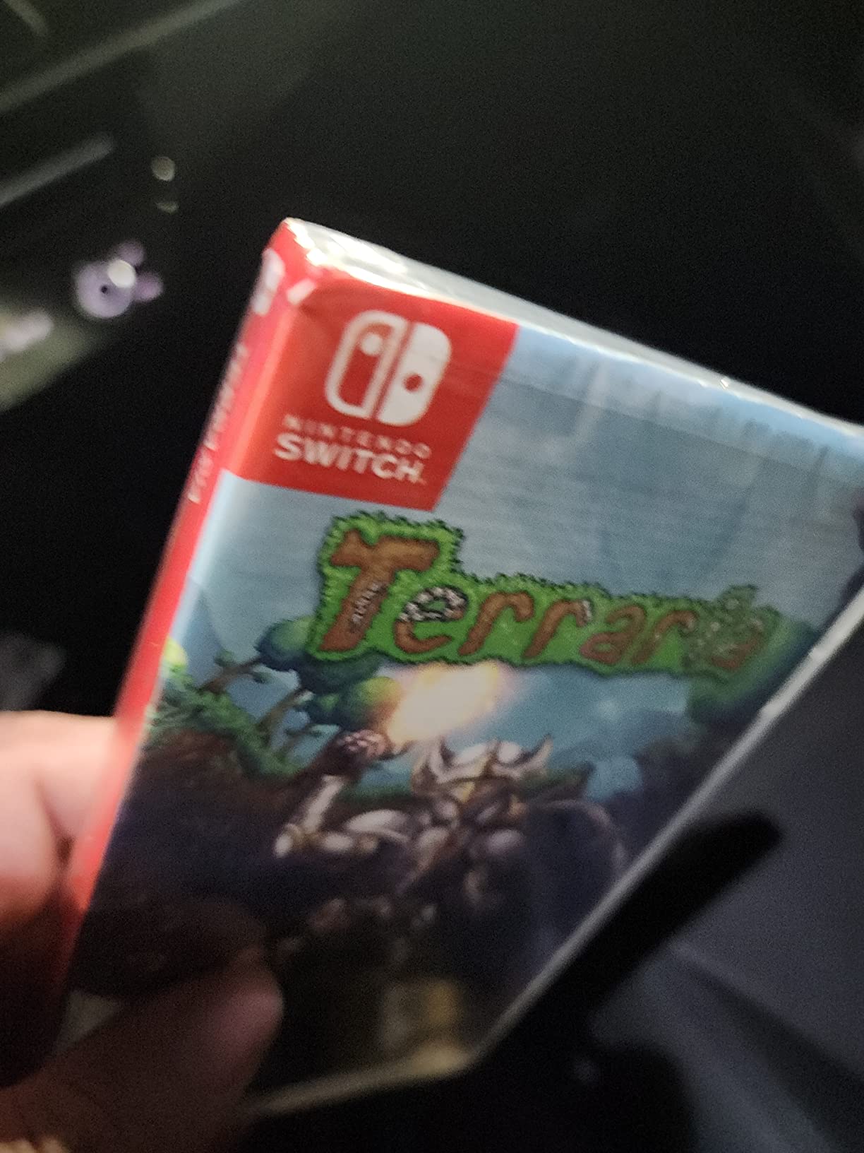 Terraria NSW - Nintendo Switch Customer Review Terraria NSW - Nintendo Switch - Customer Photo 4