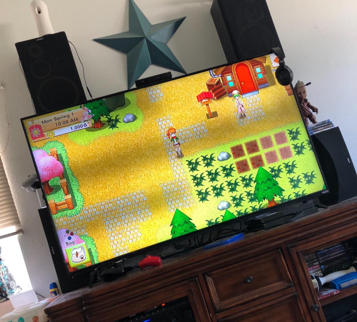 Harvest Moon: Light of Hope Special Edition - PlayStation 4 Customer Review Harvest Moon: Light of Hope Special Edition - PlayStation 4 - Customer Photo 2