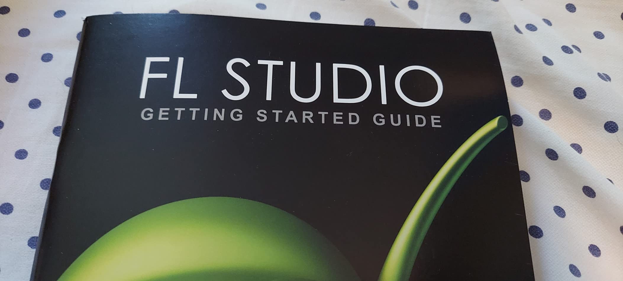 FL Studio 20 Producer Edition customer photo 1