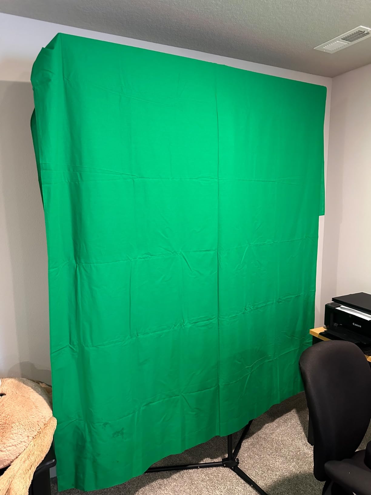EMART Green Screen Backdrop, 6 x 9 Ft Photography Greenscreen Background Sheet Fabric Kit for YouTube Video Streaming Zoom, Small Photo Chromakey Polyester Cloth Curtain with 4 Clip - Customer Photo 2