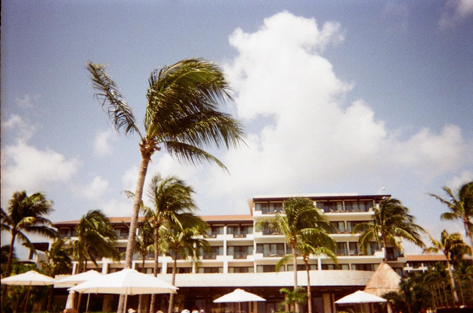 Fujifilm QuickSnap Flash 400 One Time Use 35mm Camera with Flash, 27 Exposures, 4-Pack - Customer Photo 2