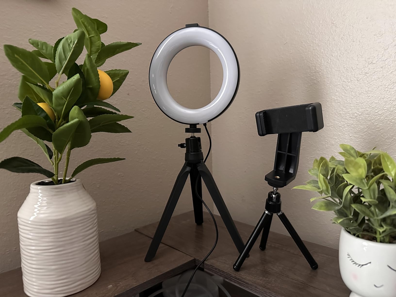 LED Ring Light 6