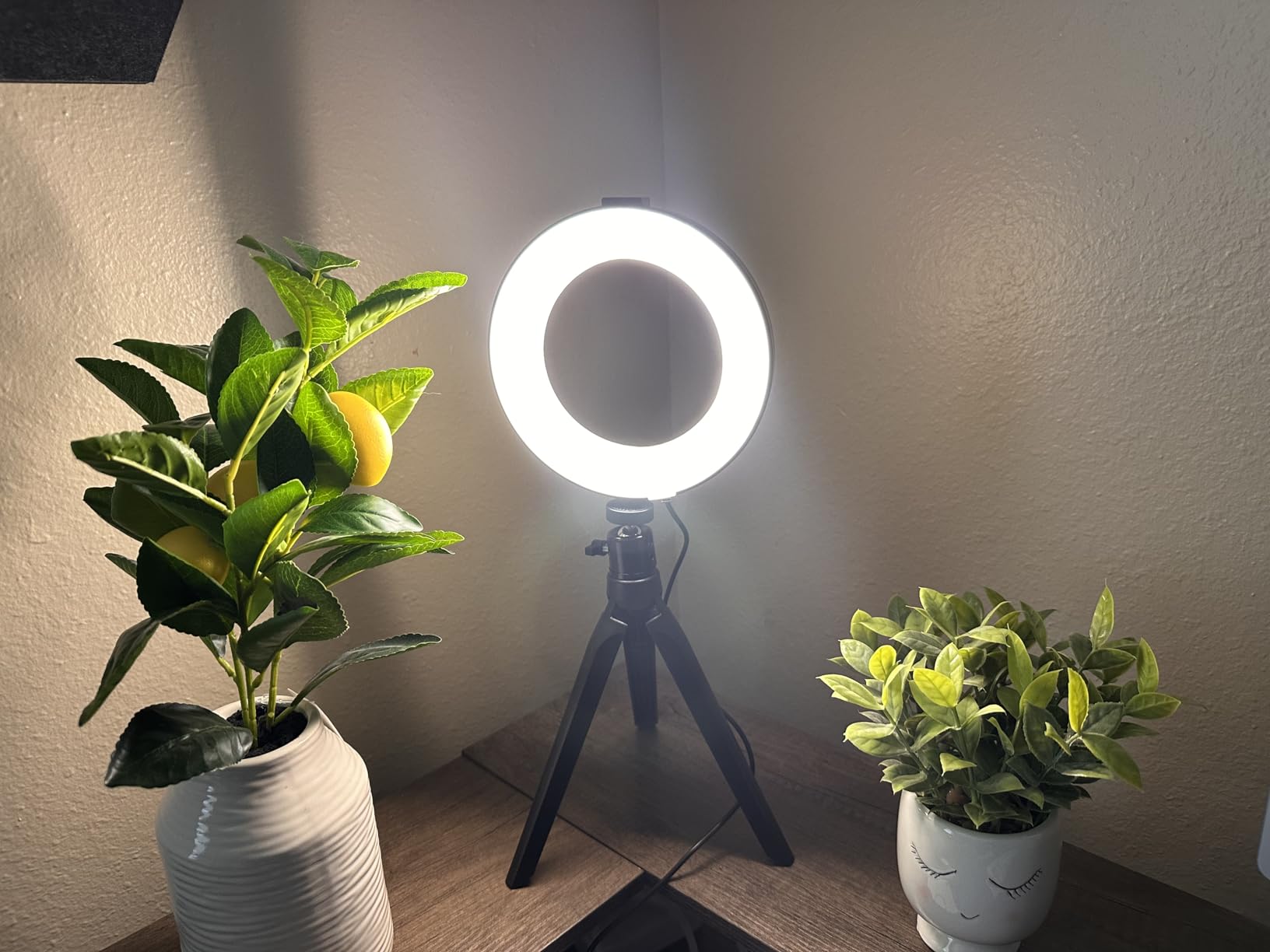 LED Ring Light 6