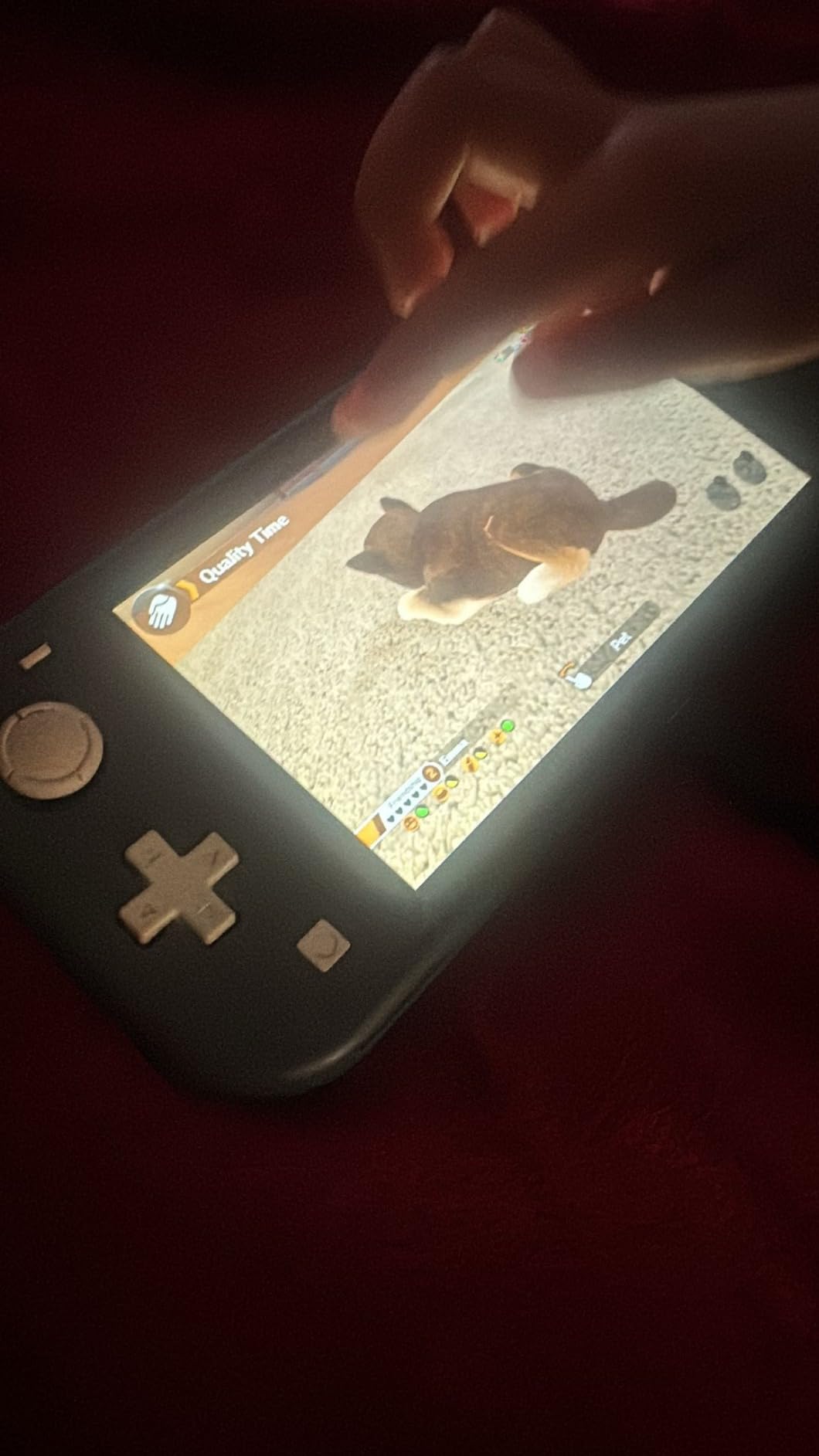 Little Friends: Dogs & Cats - Nintendo Switch Customer Review Little Friends: Dogs & Cats - Nintendo Switch - Customer Photo 1