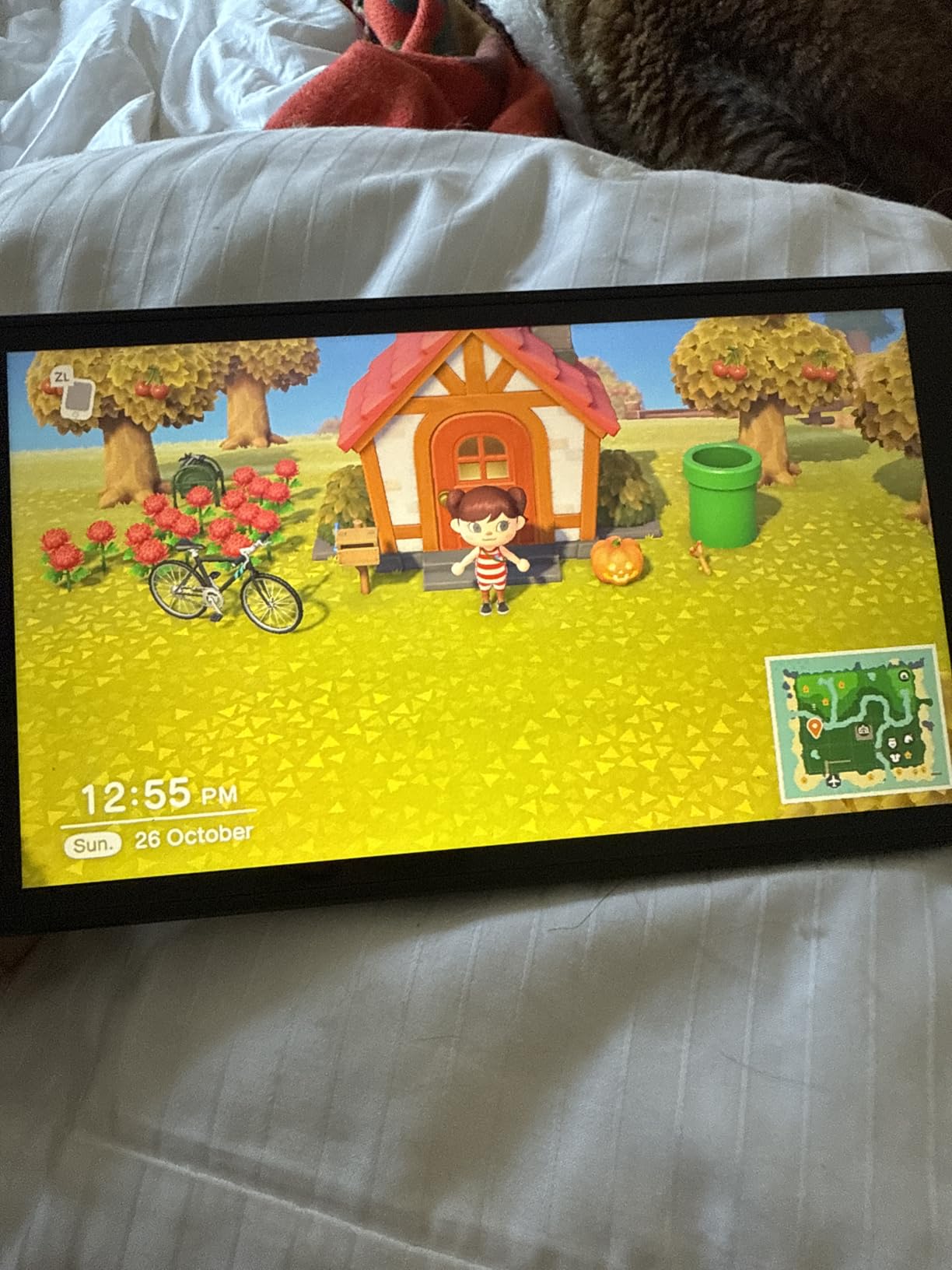 Animal Crossing: New Horizons - Nintendo Switch - Customer Photo 1