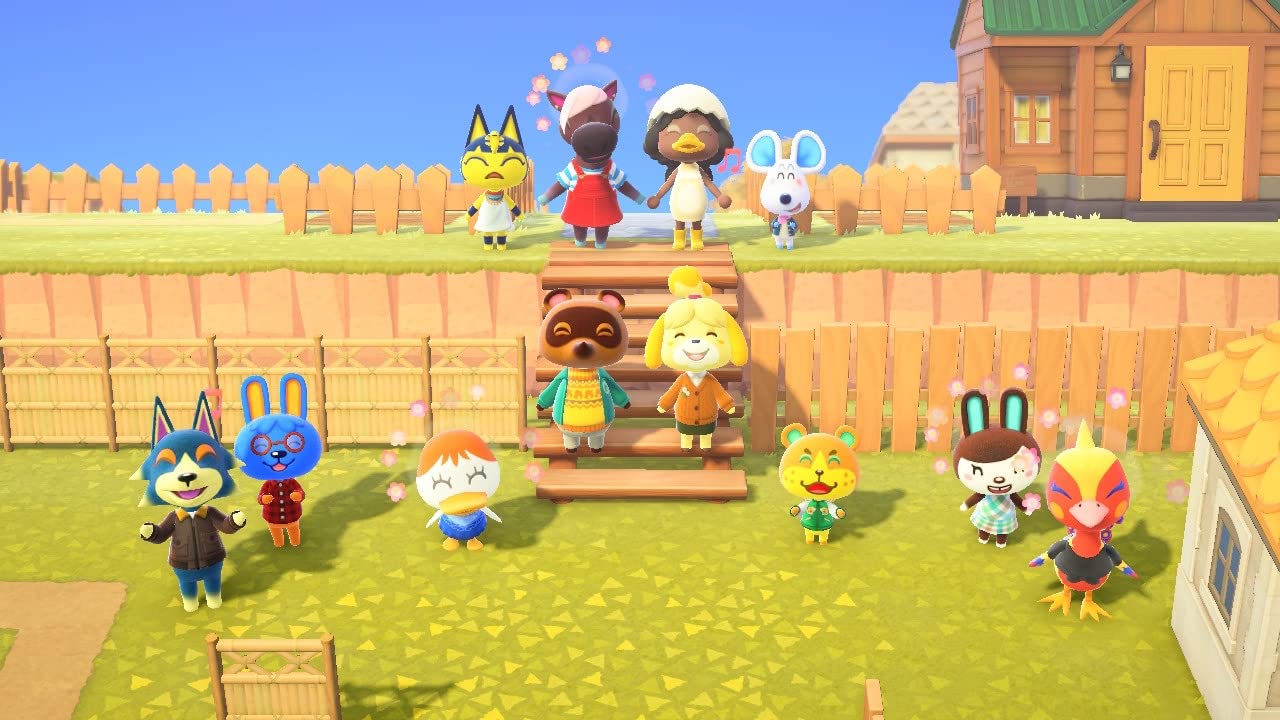 Animal Crossings New Horizons - Nintendo Switch [Digital Code] - Customer Photo 1