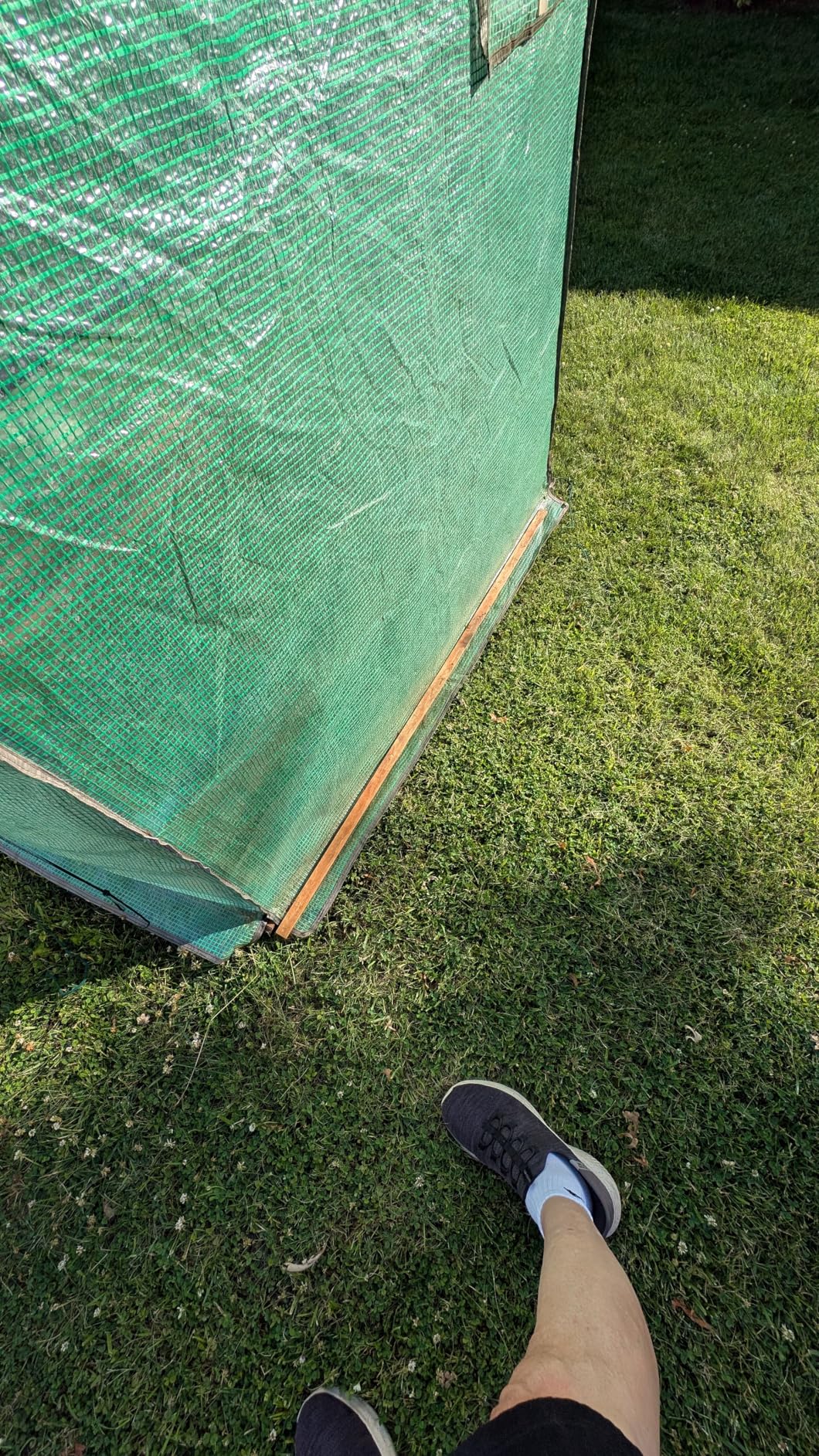 Ohuhu Greenhouse for Outdoors with Screen Windows, 57 x 57 x 76'' Walk in Plant Greenhouses Heavy Duty with Durable PE Cover, 3 Tiers 12 Shelves Stands Plastic Portable Green House with Shelf Clips - Customer Photo 2