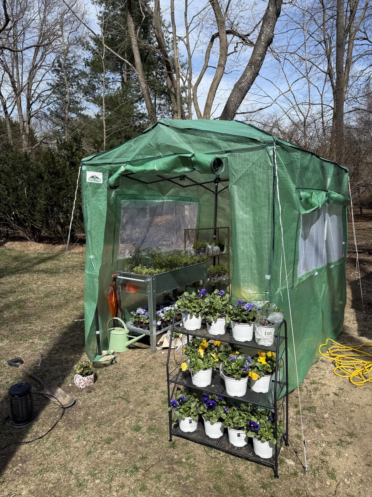 EAGLE PEAK 8x6 Portable Walk in Greenhouse, Pop Up Indoor Outdoor Greenhouse, Green House Kit with Zippered Roll-Up Doors and Windows, PE Cover, Clear/Green customer photo 2