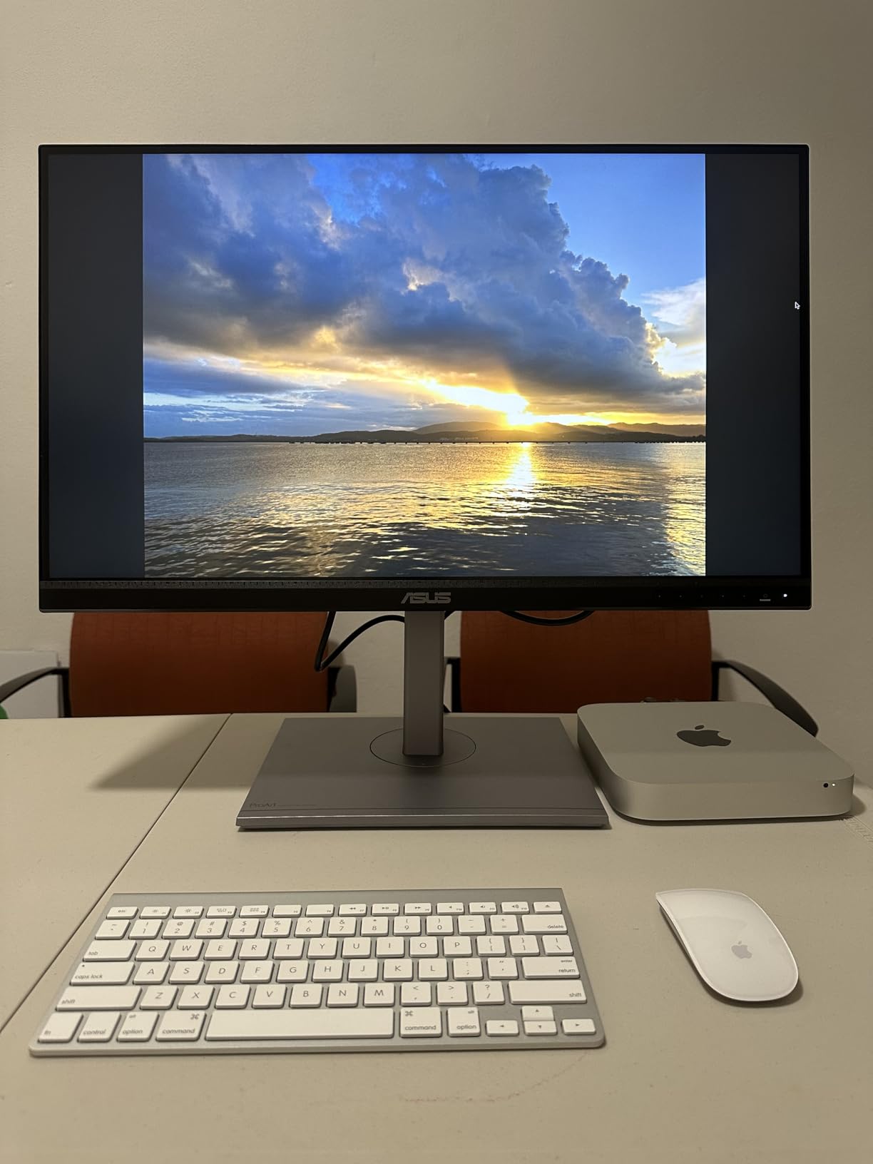 ASUS ProArt Display PA248QV 24