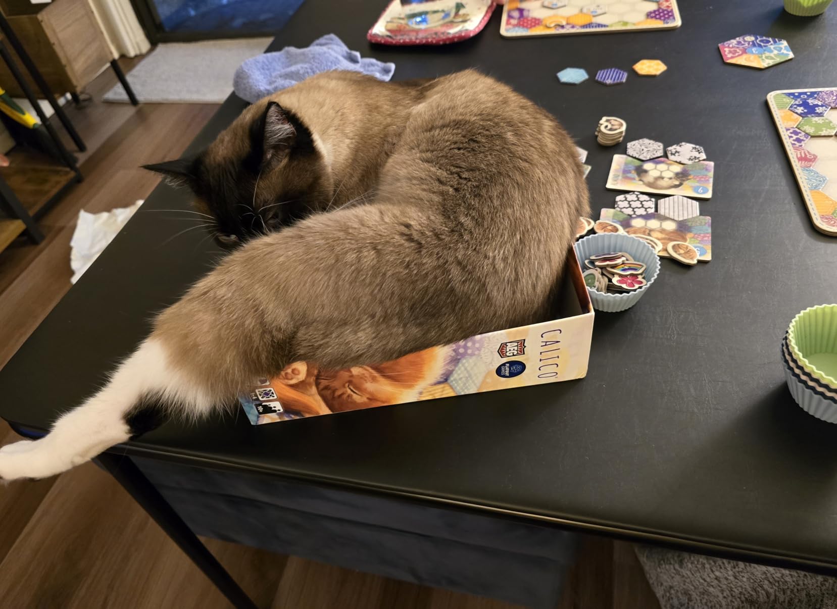 AEG & Flatout Games | Calico - Award Winning Board Game for the Whole Family | From the Creators of Cascadia | Easy to Learn | Quick to Play | Make Quilts and Attract Cats! | Ages 10 and up - Customer Photo 1