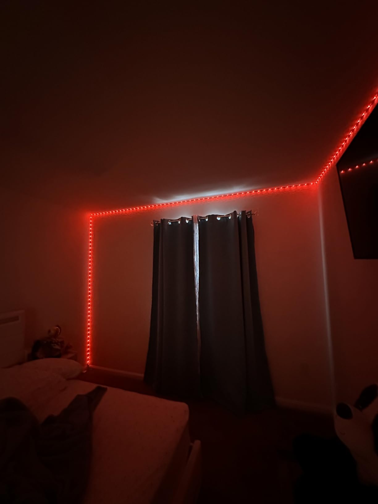 DAYBETTER Led Strip Lights 32.8ft Kit with Remote and Power Supply Color Changing - Customer Photo 2