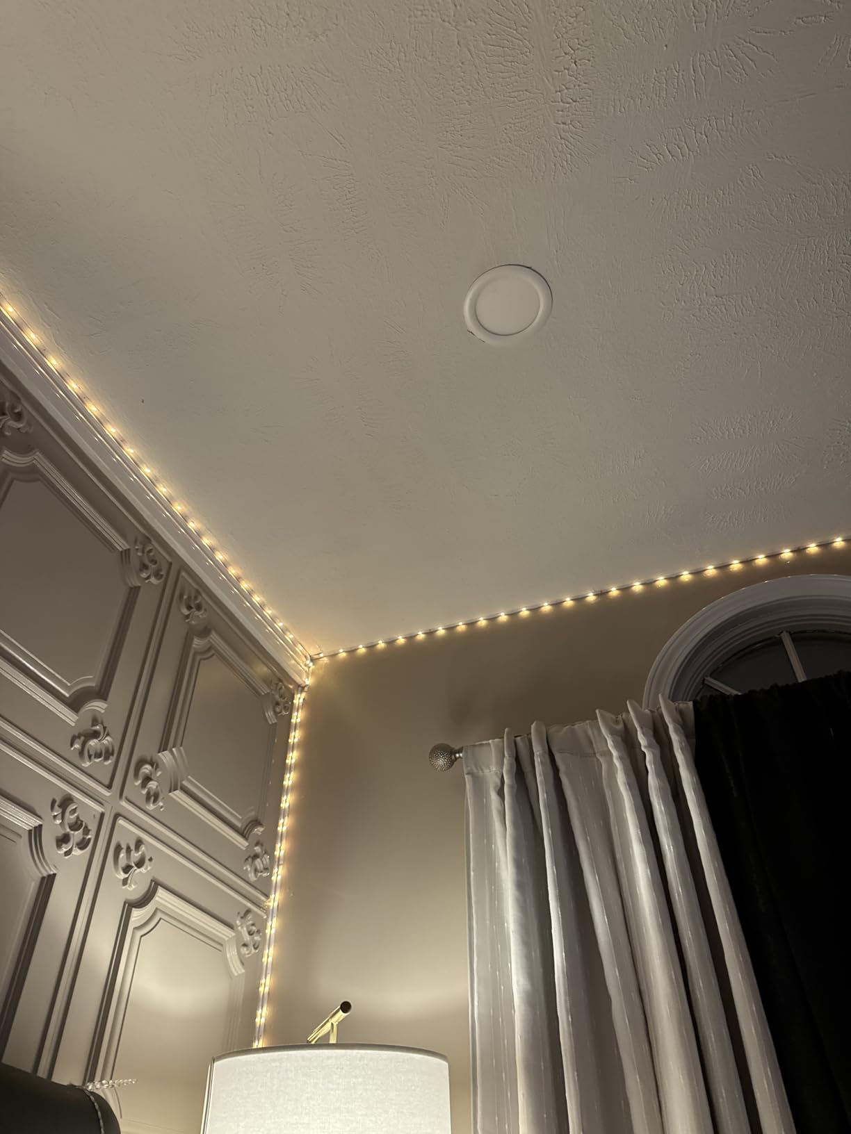 DAYBETTER Led Strip Lights 32.8ft Kit with Remote and Power Supply Color Changing - Customer Photo 4