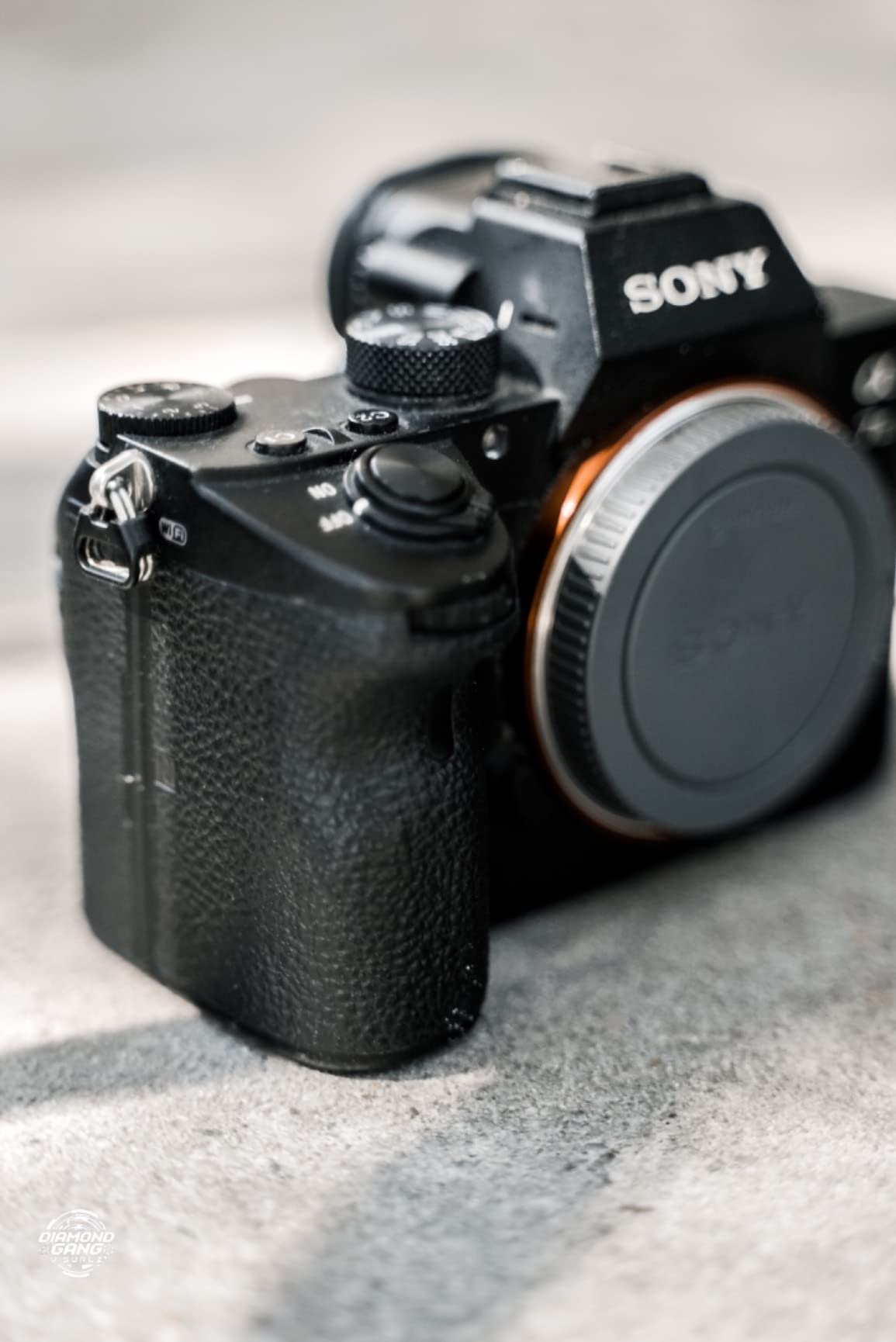 Sony NEW Alpha 7S III Full-frame Interchangeable Lens Mirrorless Camera - Customer Photo 4