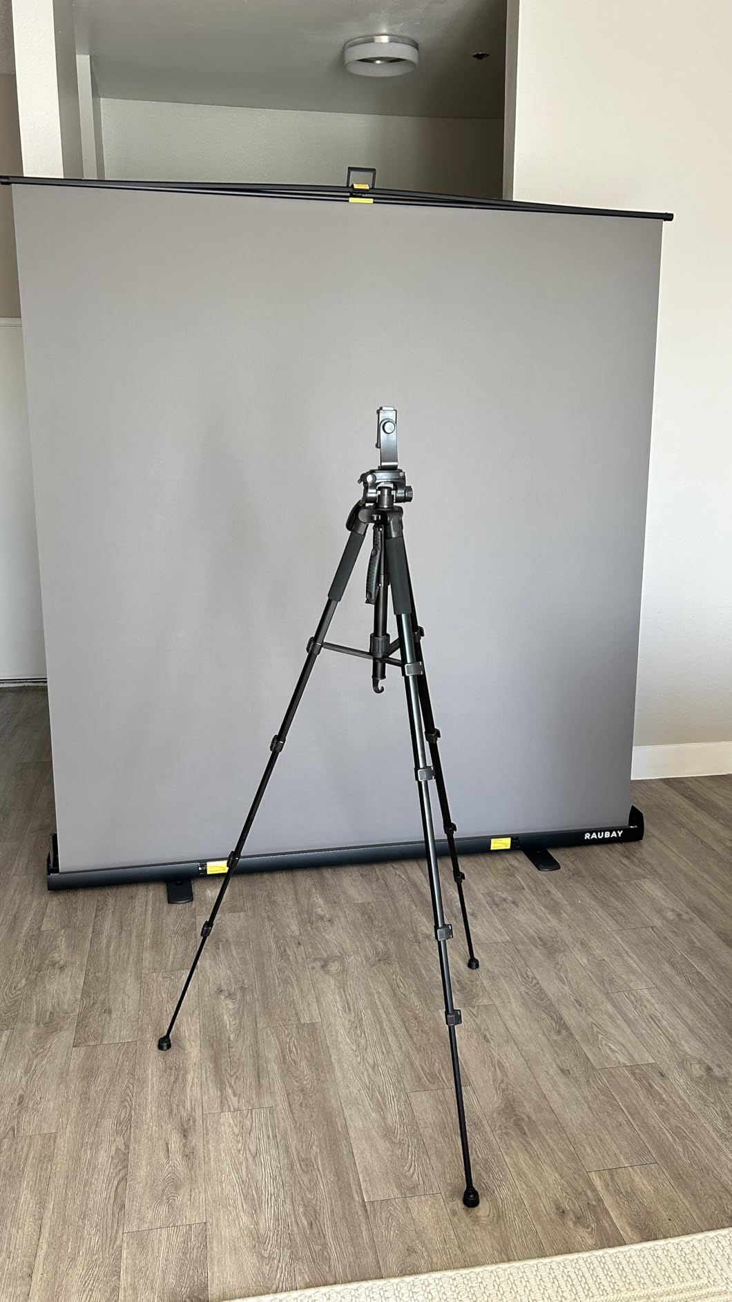 【Wider Style】 RAUBAY 78.7 x 82.7in Large Collapsible Green Screen Backdrop Portable Retractable Chroma Key Panel Photo Background with Stand for Video Conference, Photographic Studio, Streaming - Customer Photo 2