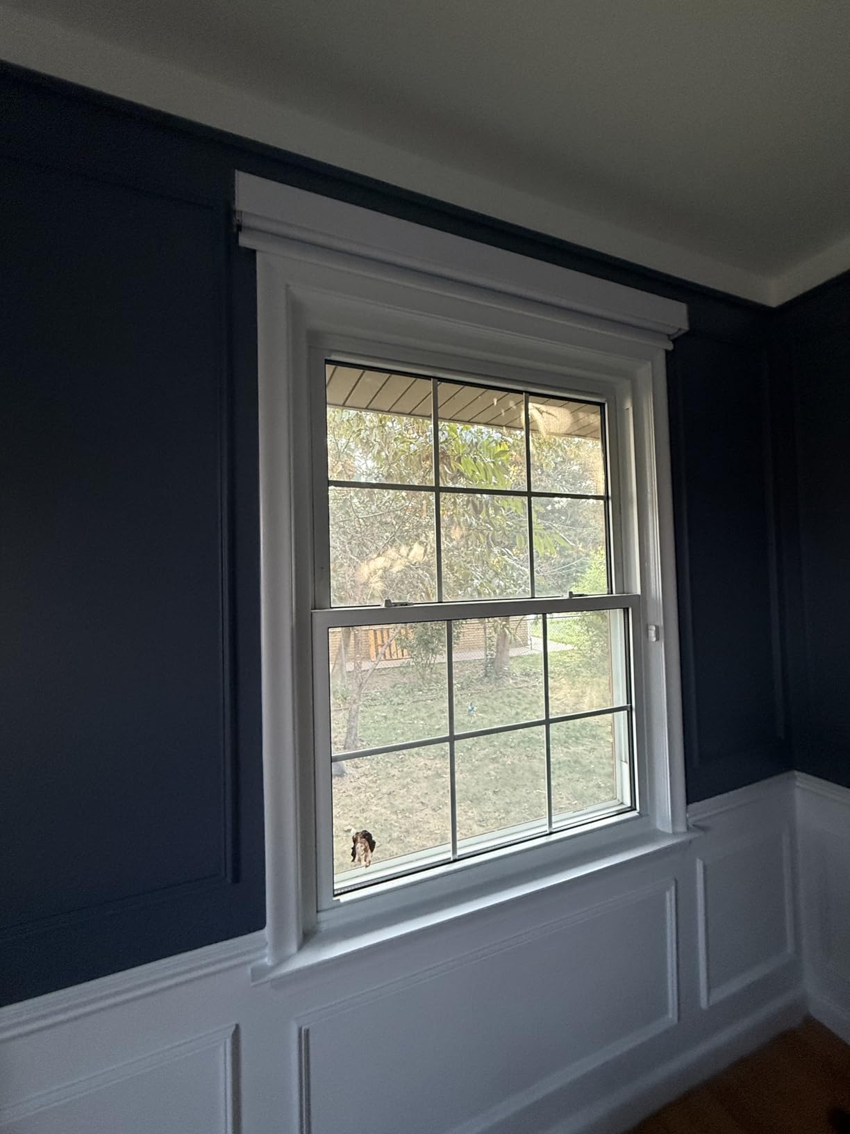 Yoolax Motorized Blinds with Remote, Blackout Smart Blinds for Windows Motorized Roller Shades, Automatic Window Shades Work with Alexa Custom Size (Blackout-Fabric Smoky Gray) - Customer Photo 2