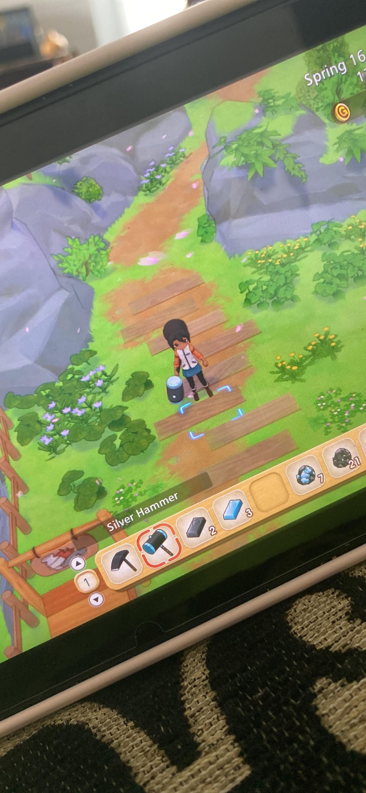 Story of Seasons: Pioneers of Olive Town - Nintendo Switch Customer Review Story of Seasons: Pioneers of Olive Town - Nintendo Switch - Customer Photo 2