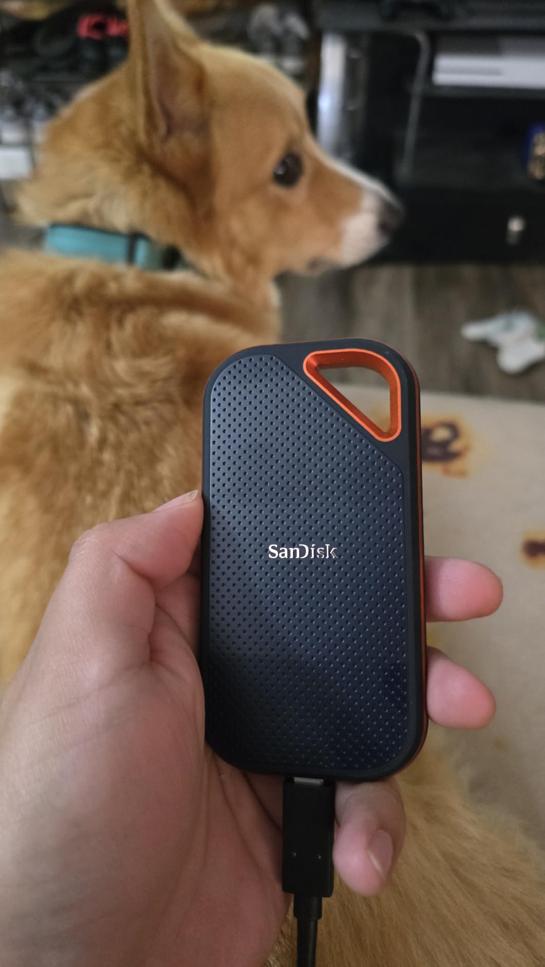 SanDisk 4TB Extreme PRO Portable SSD - Up to 2000MB/s - USB-C, USB 3.2 Gen 2x2, IP65 Water and Dust Resistance, Updated Firmware - External Solid State Drive - SDSSDE81-4T00-G25 - Customer Photo 1