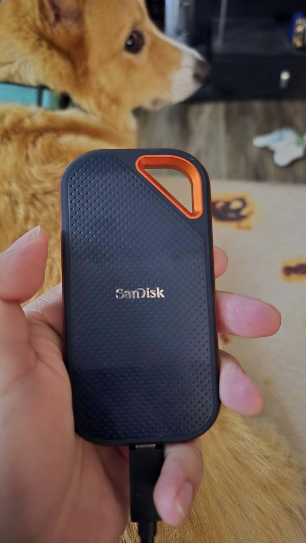 SanDisk 4TB Extreme PRO Portable SSD - Up to 2000MB/s - USB-C, USB 3.2 Gen 2x2, IP65 Water and Dust Resistance, Updated Firmware - External Solid State Drive - SDSSDE81-4T00-G25 - Customer Photo 2
