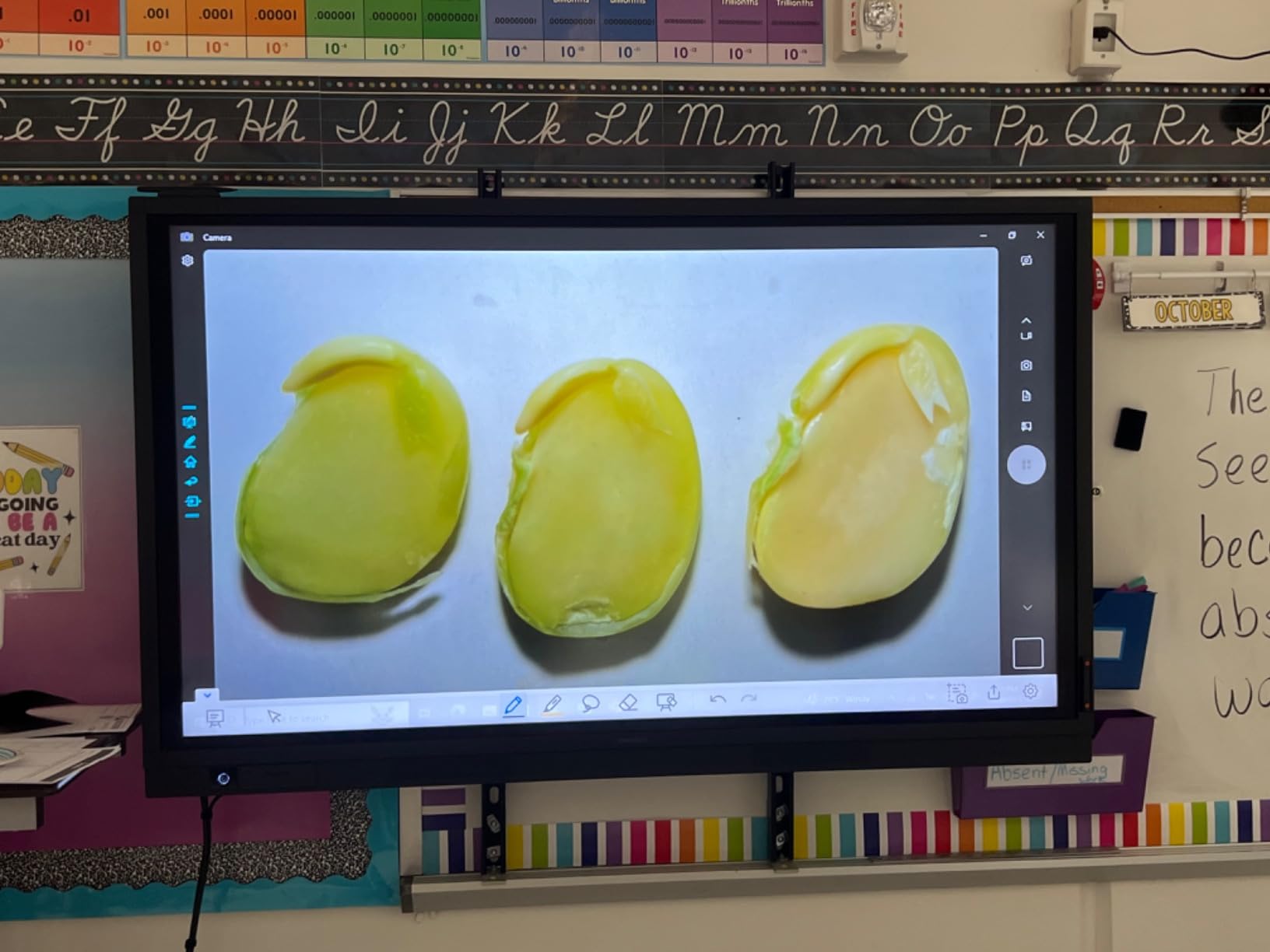 INSWAN INS‑2 4K USB Document Camera – 13MP, Dual Auto‑Focus, LED Light and Microphone, Plug & Play, Mac, Windows, iPad, Chromebook, A3 Capture – Ideal for Teachers and Classrooms - Customer Photo 1