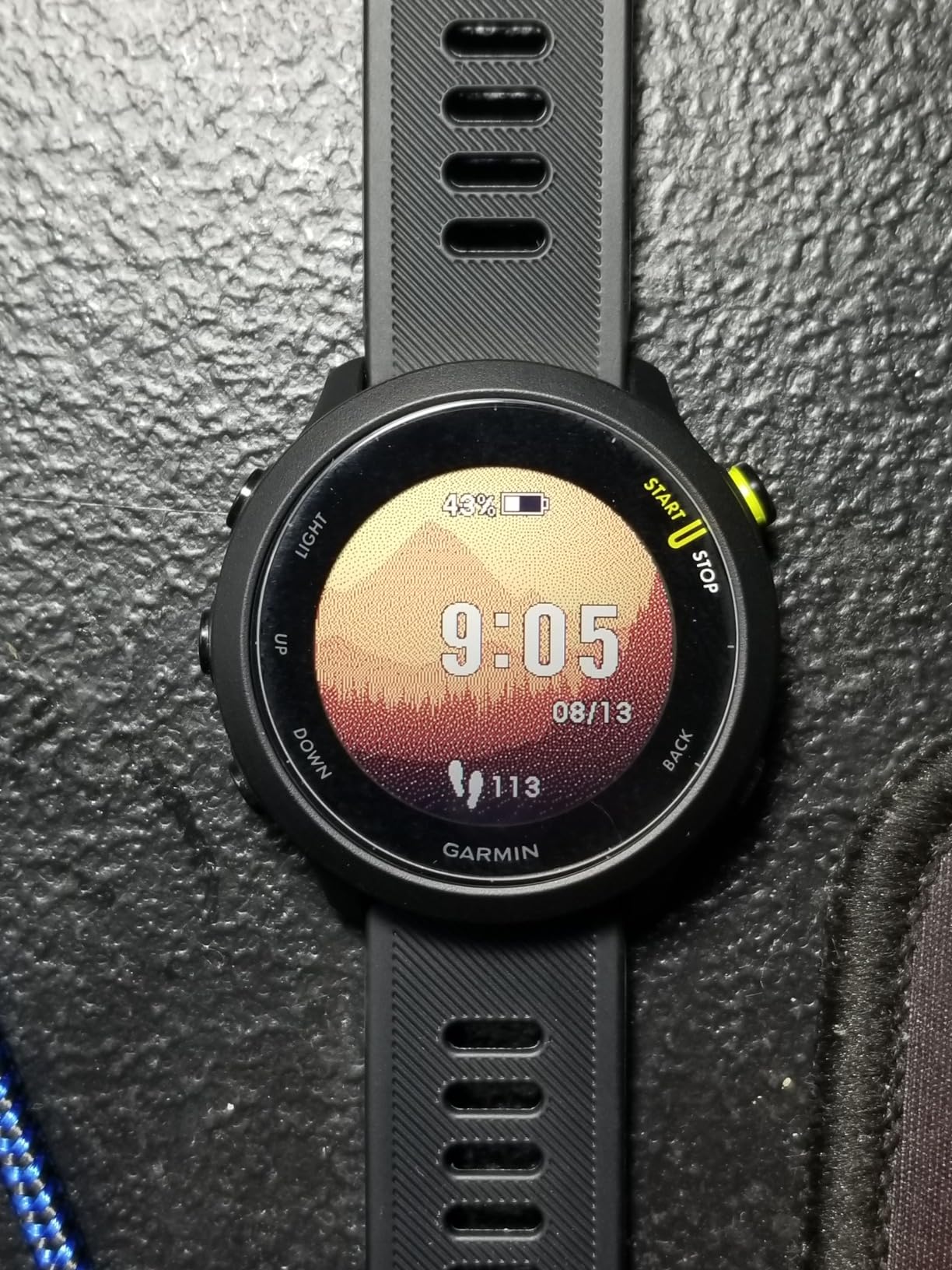 Garmin Forerunner 55, GPS Running Watch with Daily Suggested Workouts, Up to 2 Weeks of Battery Life, Black customer photo 2