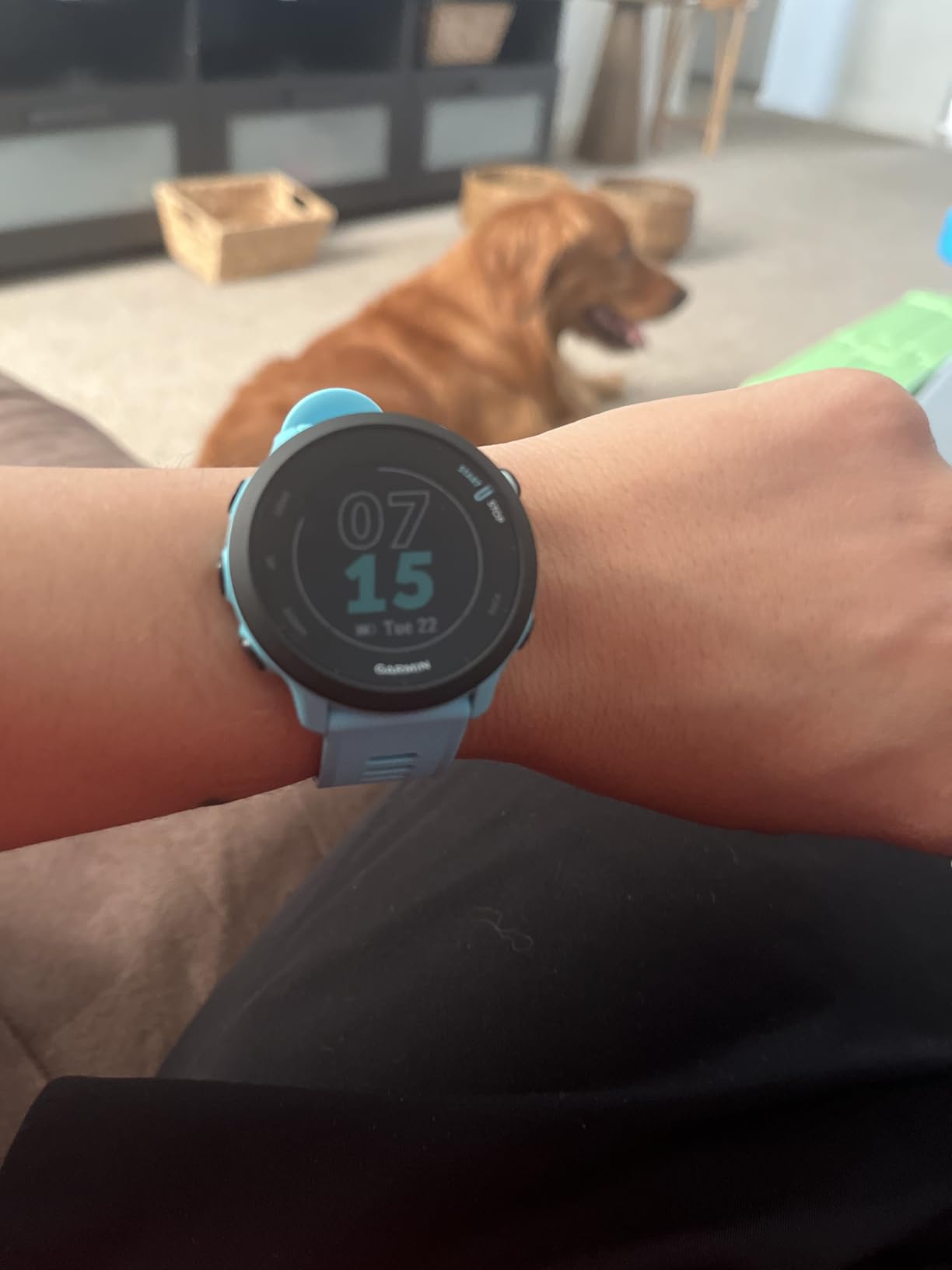 Garmin Forerunner 55, GPS Running Watch with Daily Suggested Workouts, Up to 2 Weeks of Battery Life, Black - 010-02562-00 - Customer Photo 3