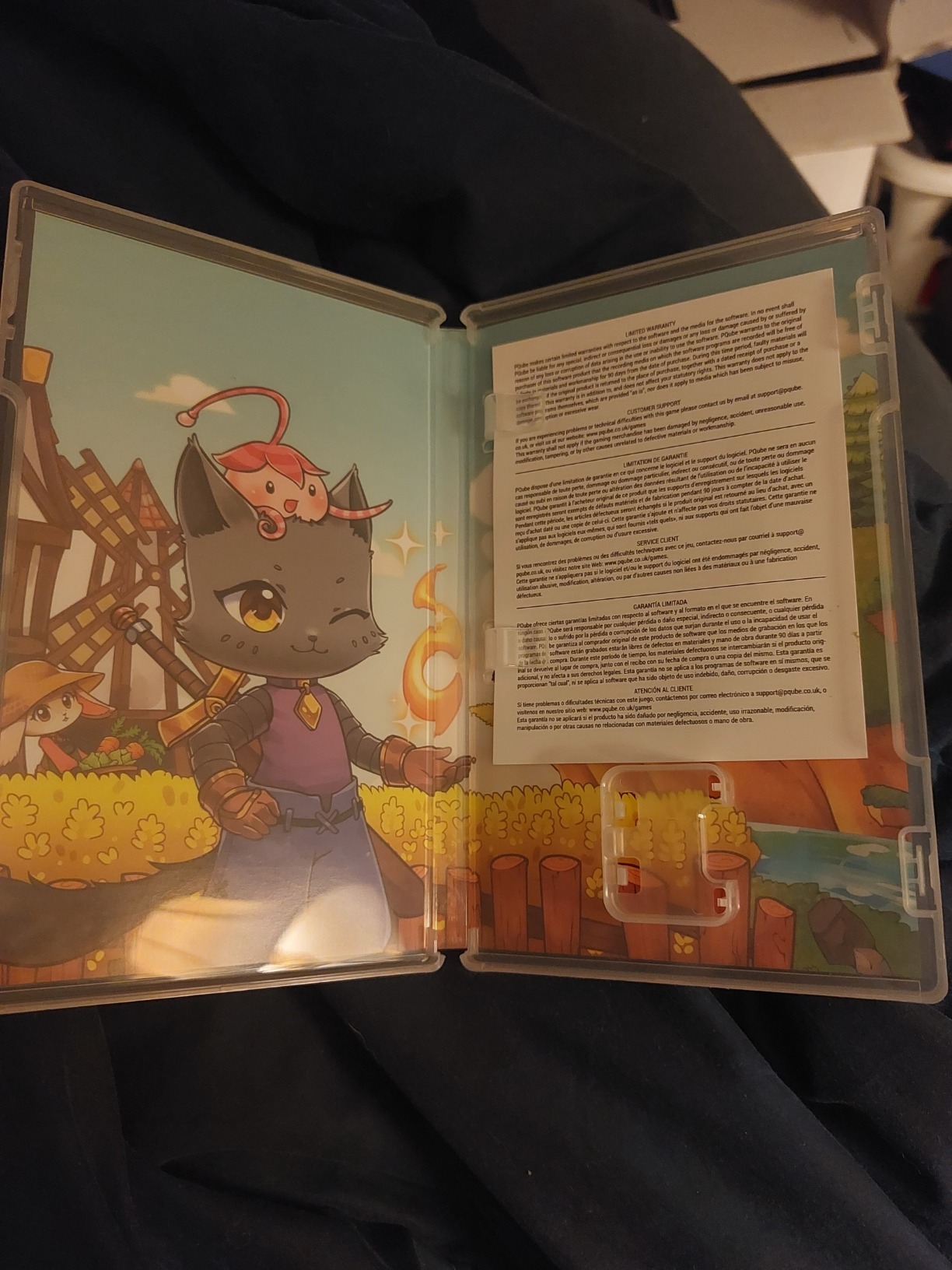 Kitaria Fables - Nintendo Switch - Customer Photo 3