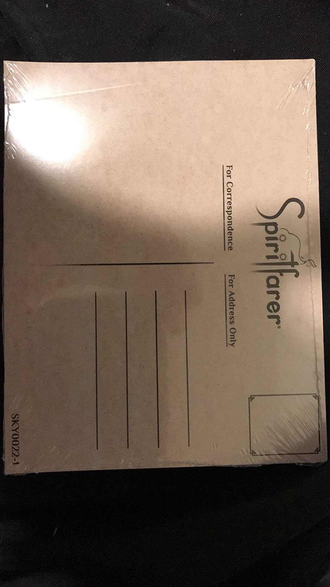 Spiritfarer - Nintendo Switch - Customer Photo 1