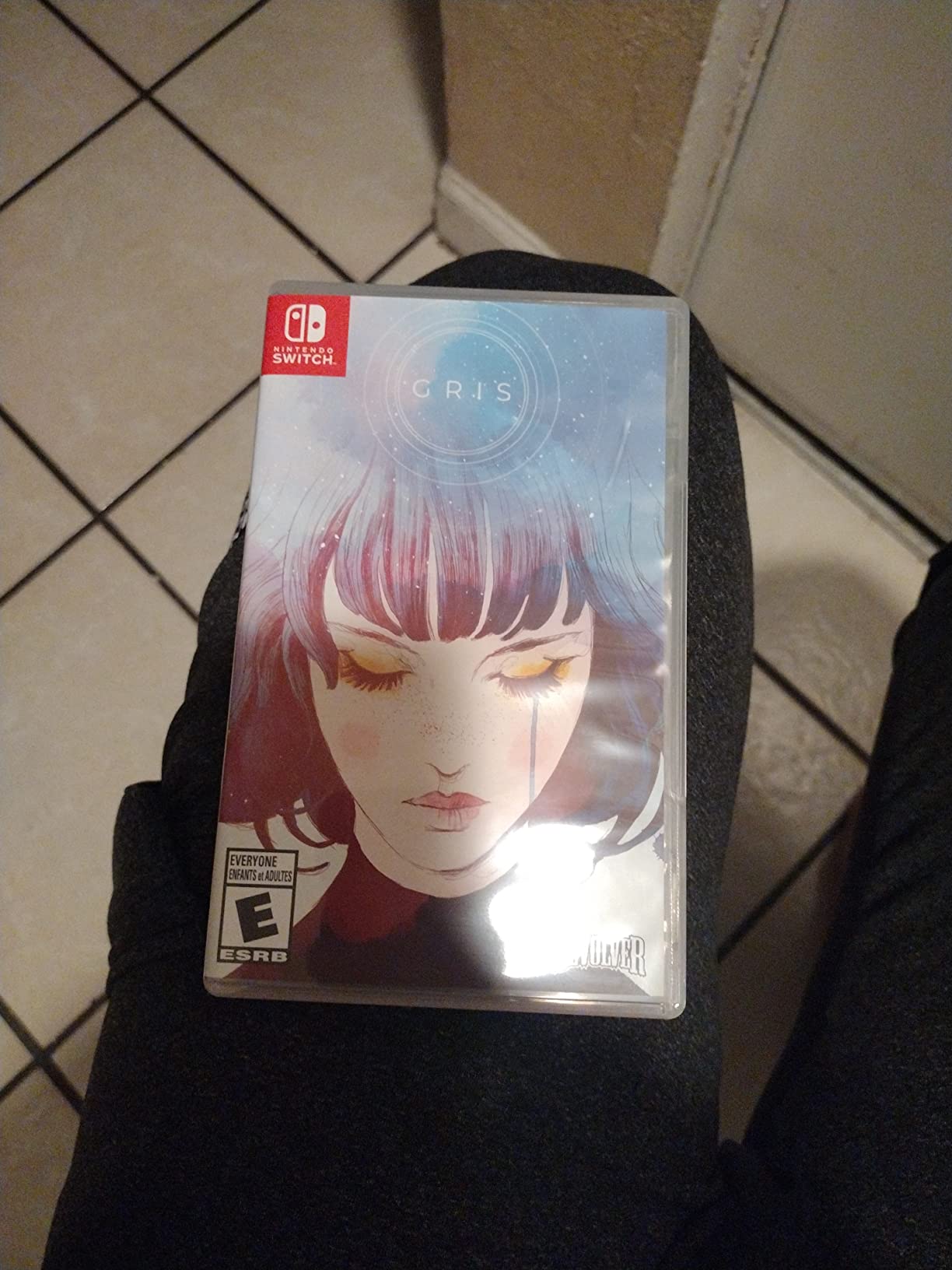Gris - Nintendo Switch Customer Review Gris - Nintendo Switch - Customer Photo 4