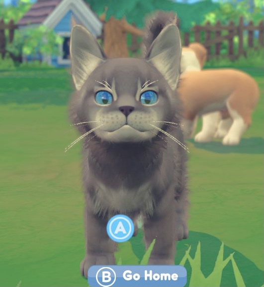 My Universe: Puppies and Kittens - Nintendo Switch - Customer Photo 4