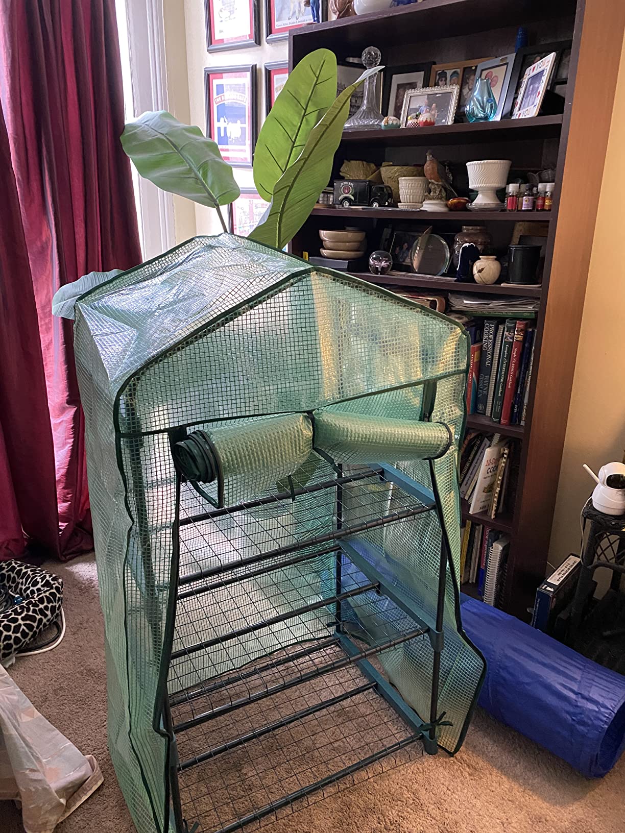 Sunnydaze Outdoor Portable 3-Tier Mini Greenhouse with Roll-up Zippered Door and Steel Wire Shelves - Green - Customer Photo 1