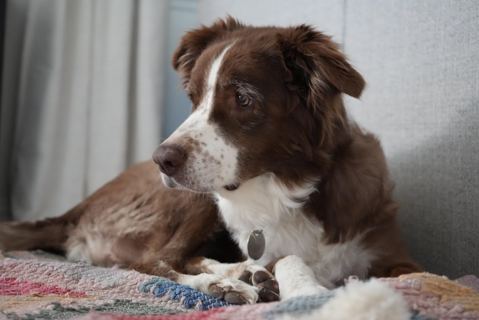 Sony Alpha 7 IV Full-frame Mirrorless Interchangeable Lens Camera with 28-70mm Zoom Lens Kit Customer Review Sony Alpha 7 IV Full-frame Mirrorless Interchangeable Lens Camera with 28-70mm Zoom Lens Kit - Customer Photo 2