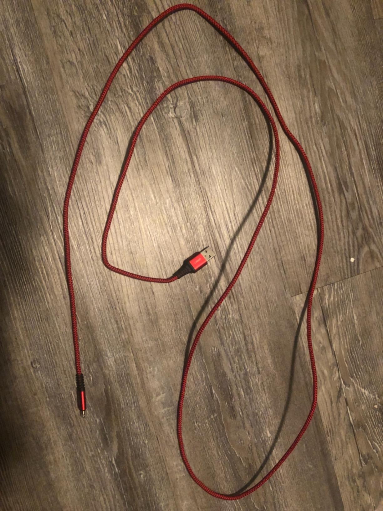 LISEN iPhone Charger Cable (10ft / 3m) USB A to Lightning Cable 10 Feet - Customer Photo 2