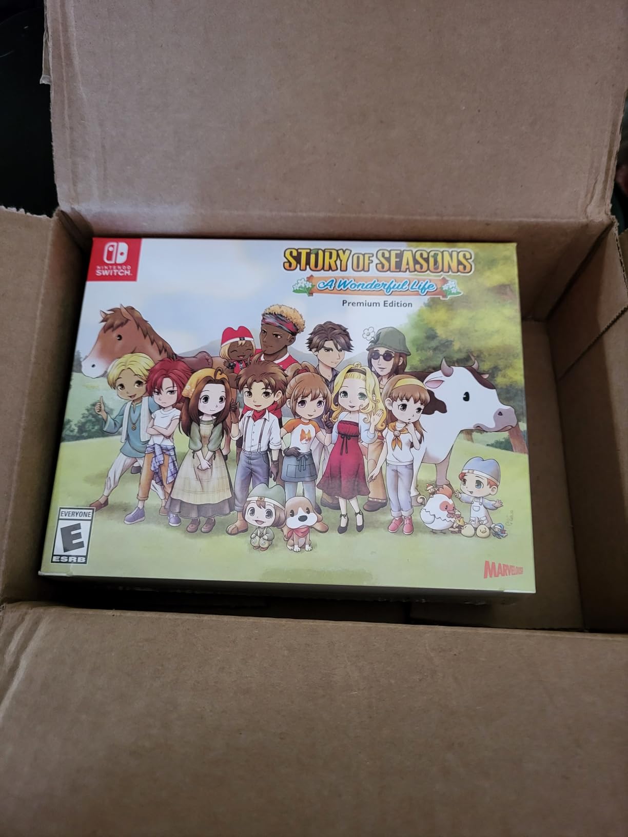 Story of Seasons: A Wonderful Life - Premium Edition - Nintendo Switch - Customer Photo 2
