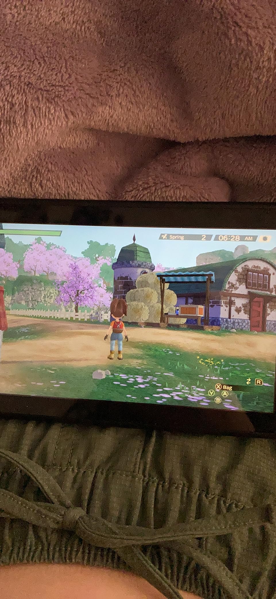 Story of Seasons: A Wonderful Life - Nintendo Switch Customer Review Story of Seasons: A Wonderful Life - Nintendo Switch - Customer Photo 1