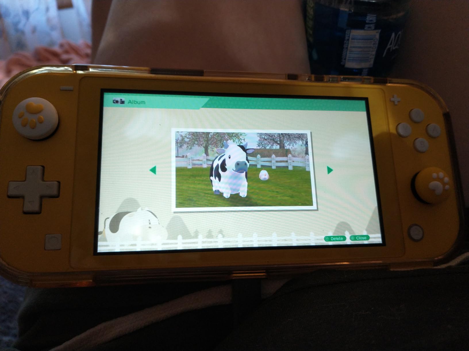 Story of Seasons: A Wonderful Life - Nintendo Switch - Customer Photo 5