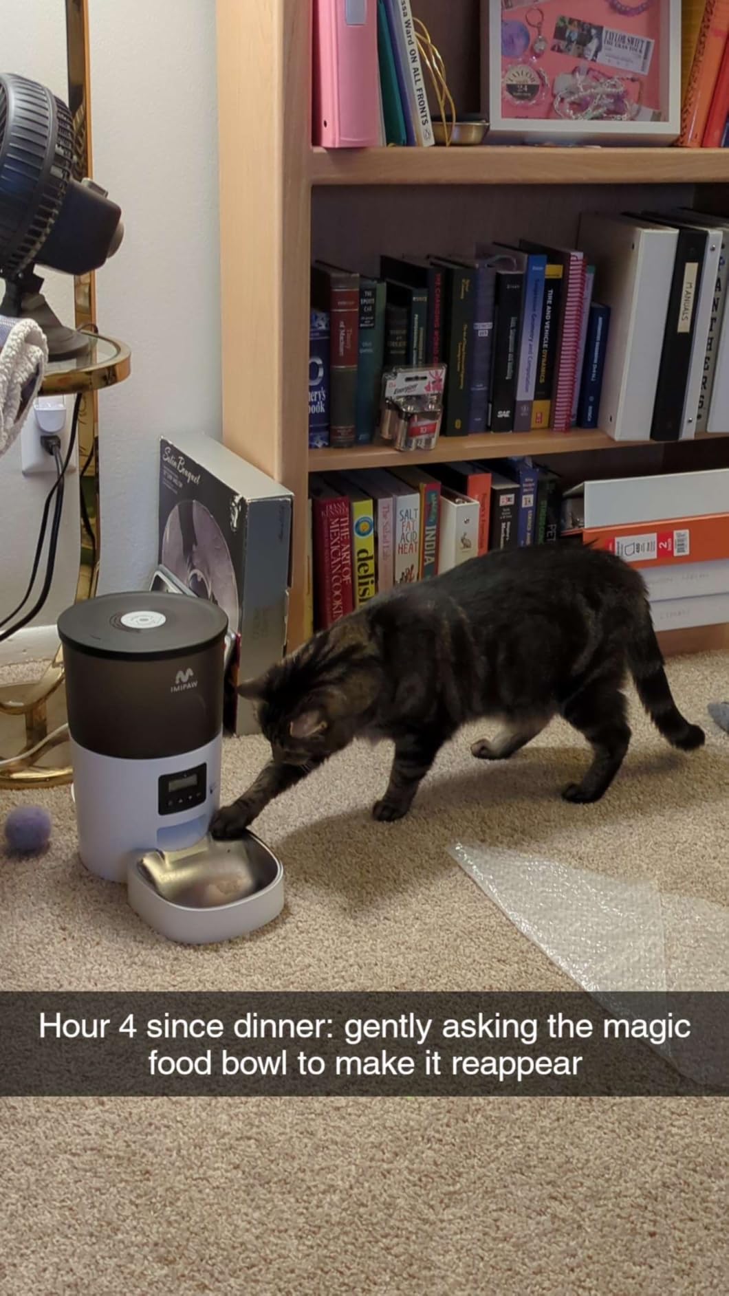 IMIPAW Automatic Cat Feeders, 3L Timed Cat Dry Food Dispenser, Dual Power Supply, Programmable Portion Size, Auto Pet Feeder for Cats and Small Dogs - Customer Photo 2